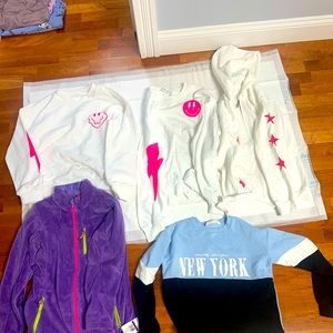 New sweat shirts  hoodie  loose fit and purple spider new jackets with tag.